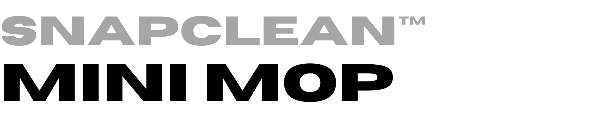 Portable Mini Mop logo